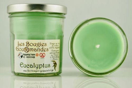 Bougie Gourmande parfumée senteur Eucalyptus